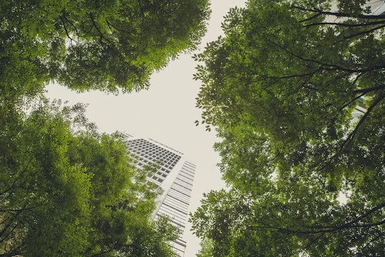 Sustainability in Startups – Balancing Profit and Planet in a Changing World